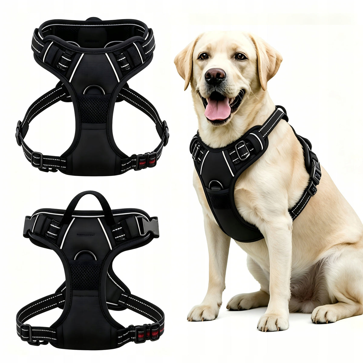 Harness for Active Dog, With Back Holder, Breathable, Adjustable