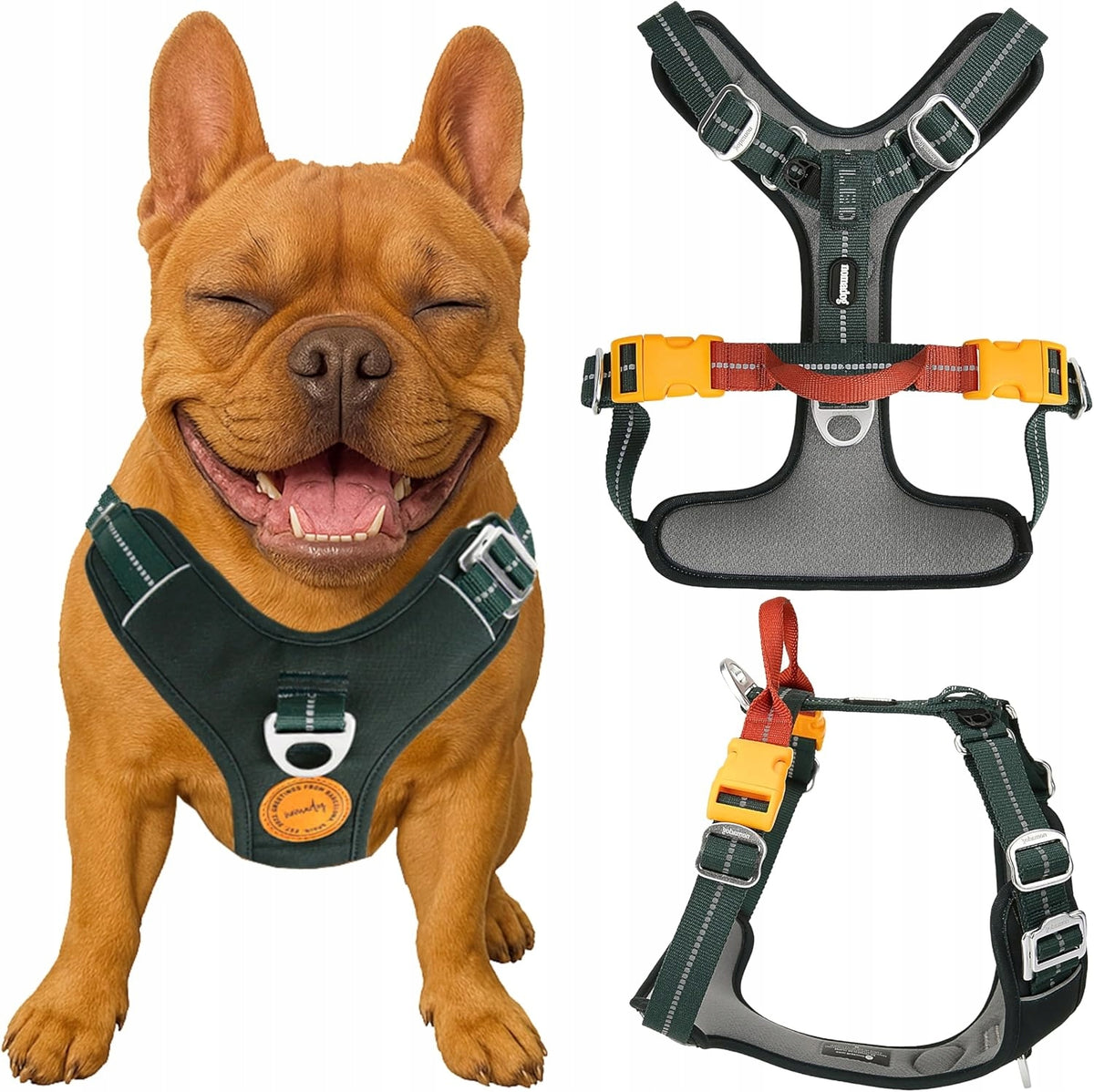 Harness for Active Dog with Handle Durable S NOMADOG BLACK QV