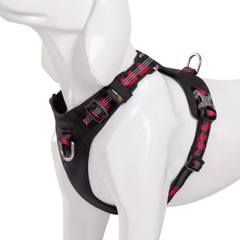 Harness for BIG dog WATERPROOF, LIGHTWEIGHT Truelove Adventure Dog BLACK L Kind training / easy walk