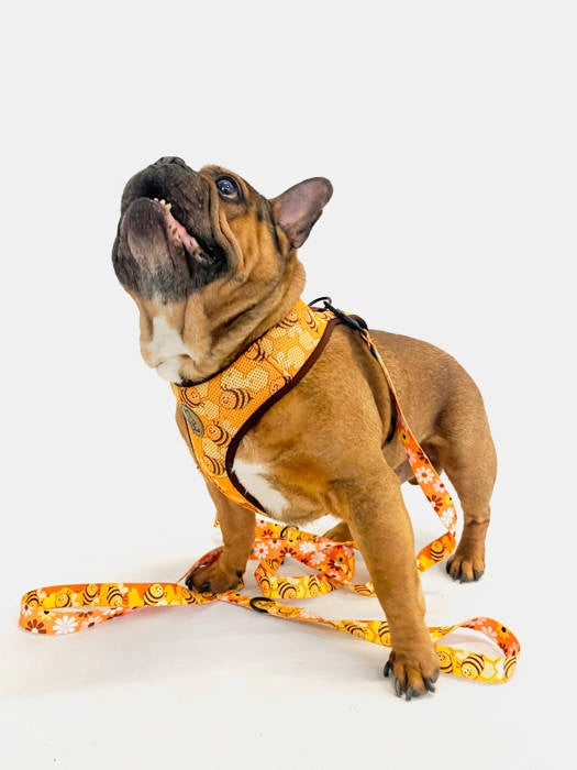 Harness for Dog Busy Bees Psiakrew XXS Manufacturer code 5908298126202