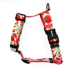Harness for Dog Guard Fruit Jelly Psiakrew M/L