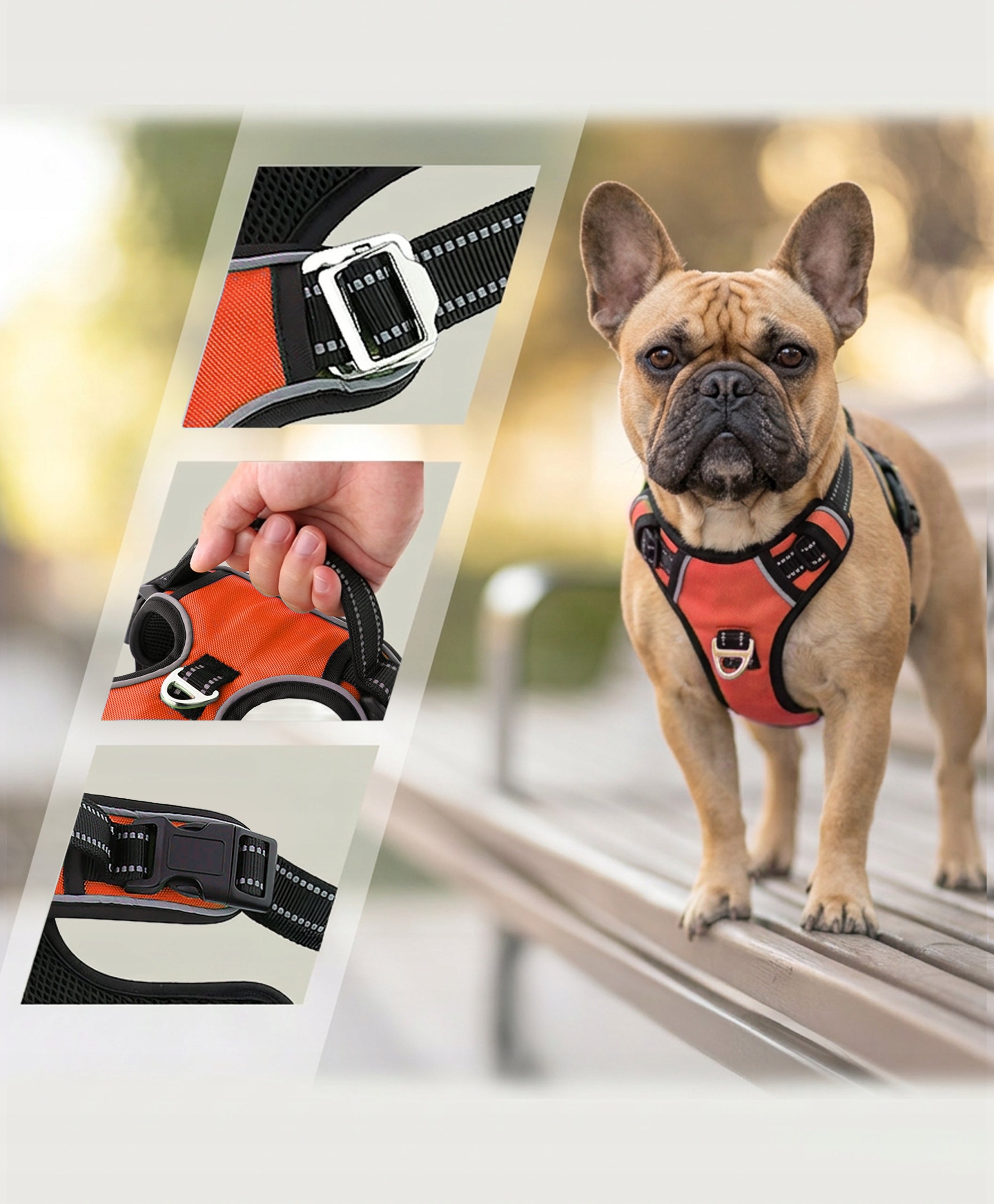 Harness for French bulldog pressure-free guard HUGGY DOGGY adjustable M Manufacturer code Szelki dla psów HUGGY DOGGY Walky Guard