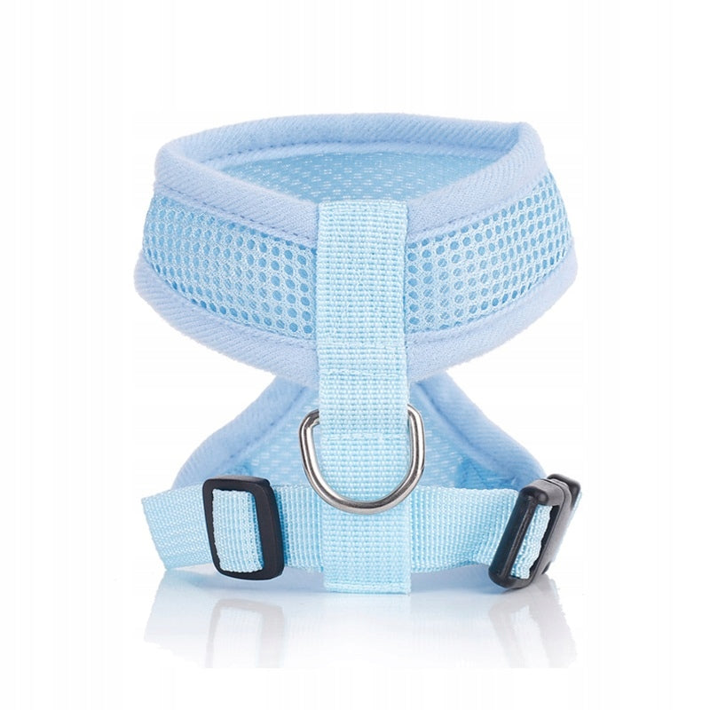 Harness for dog, cat, soft, blue size. S