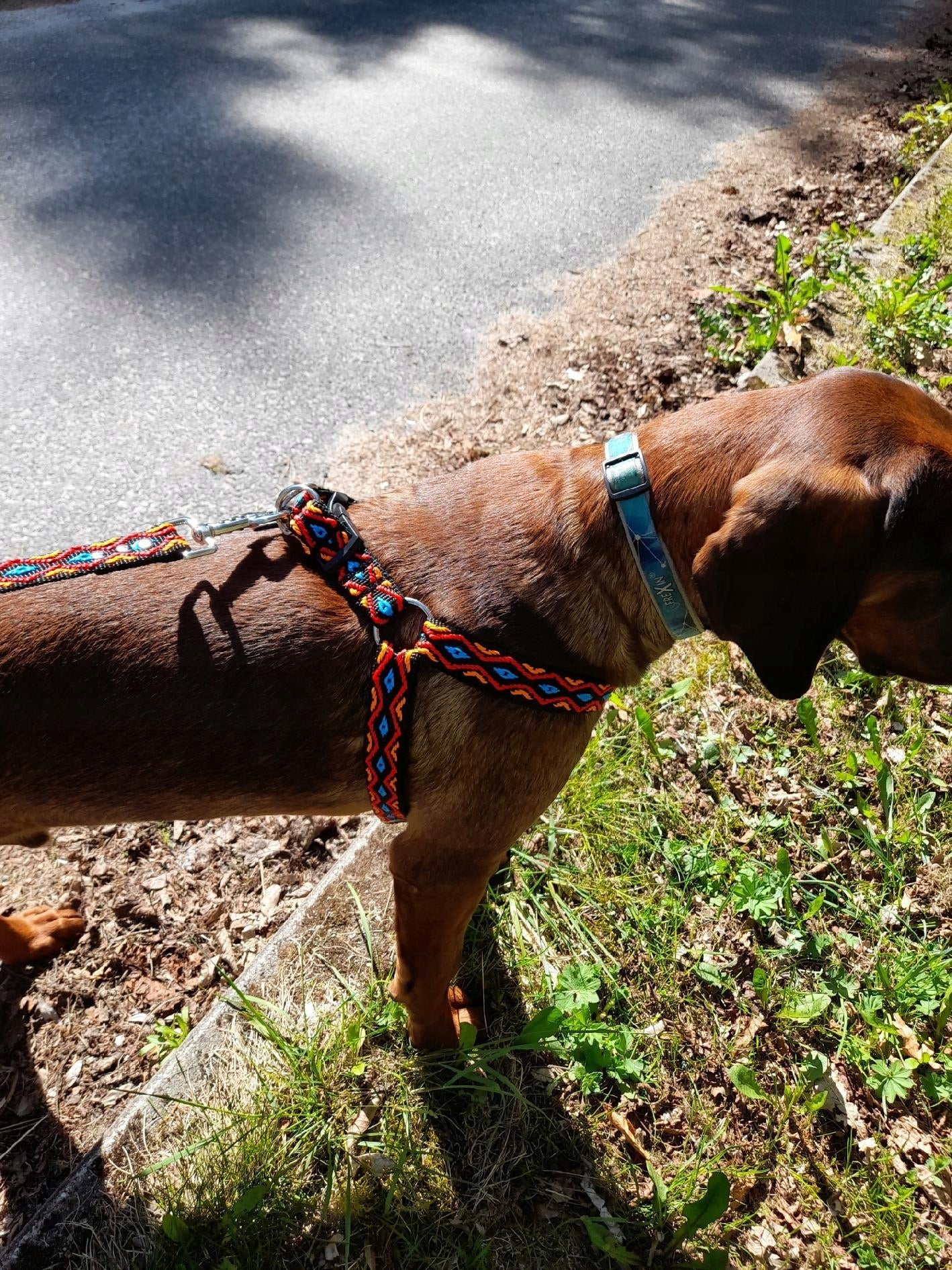 Harness for medium and small dog 25mm ML Decorative Strong Different Designs SUNKA Brand Sunka