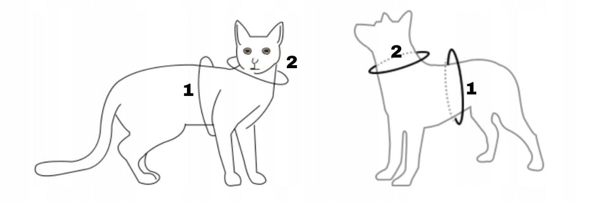 Harness for small dog cat type GUARD pressure-free reflective LANYARD FREEBIE XL Size XL