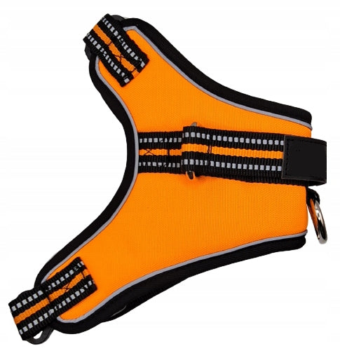 Harness for small dog light pincher Havanese Lhasa Apso Lowchen size S Manufacturer code SJBD