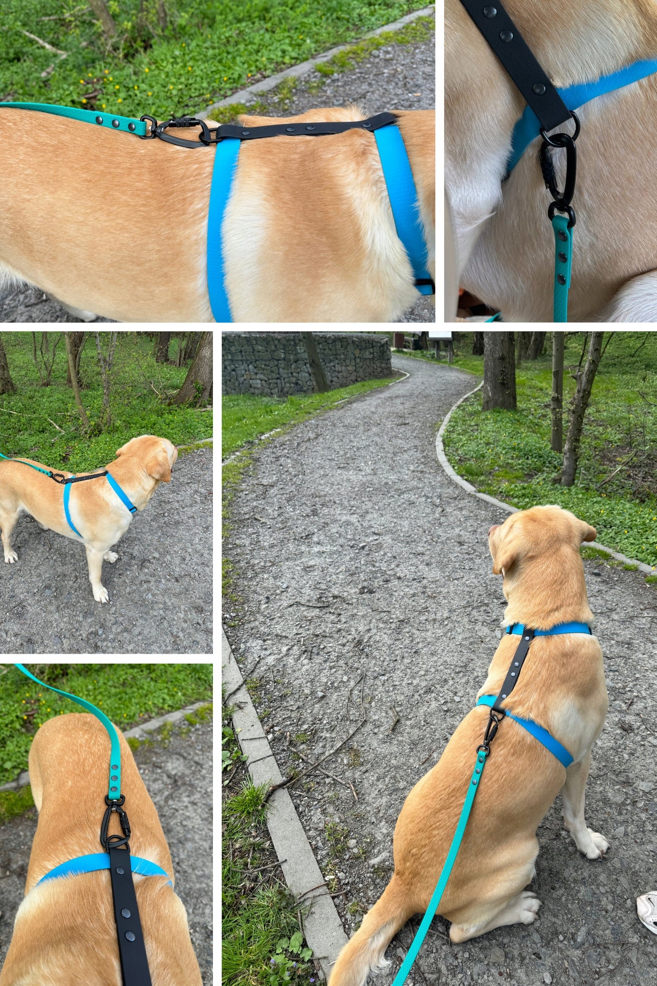 Harness guard biothane waterproof for dog adjustable PVC strong premium Type adjustable