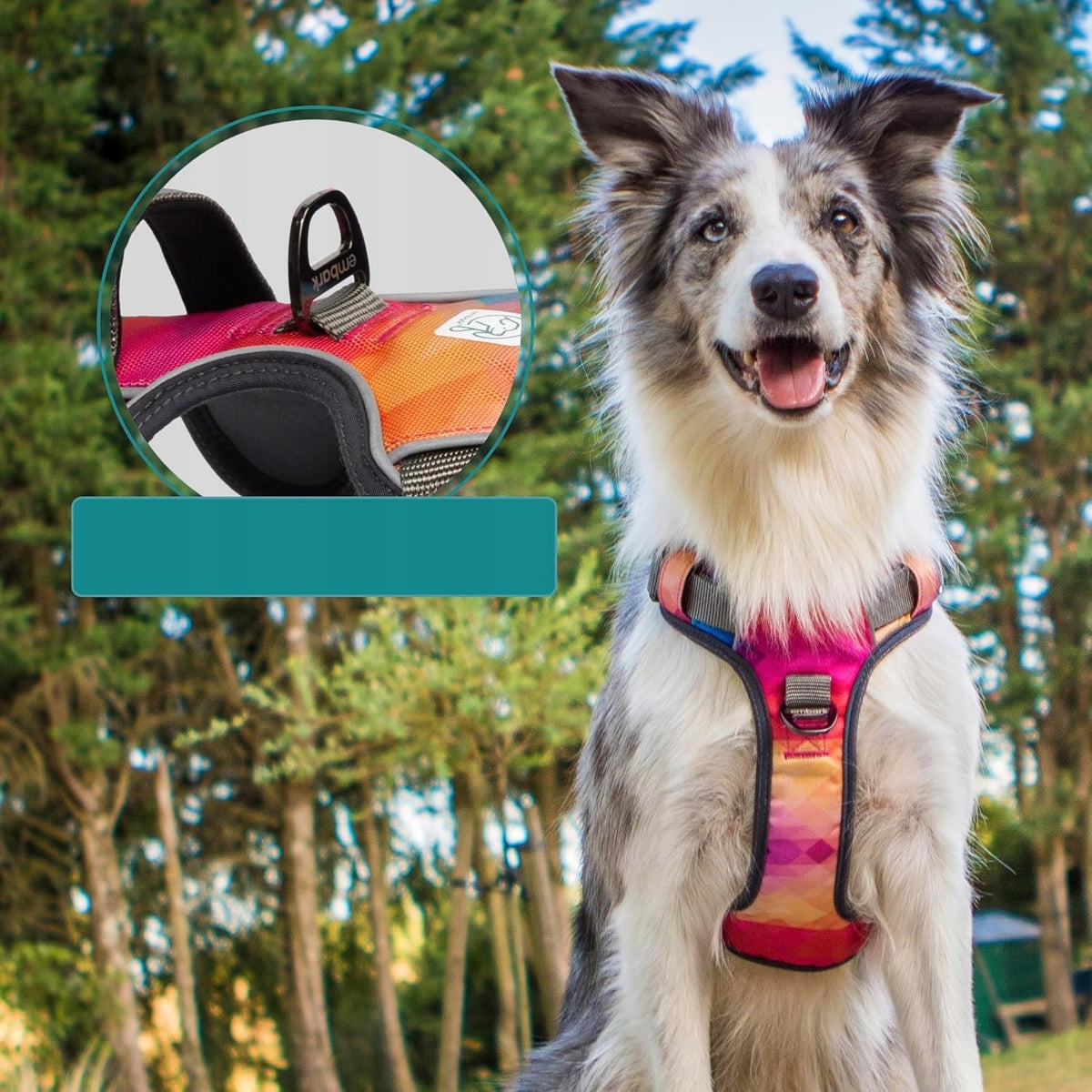 Harness harness for small dogs with adjustable control handle Manufacturer code 0021