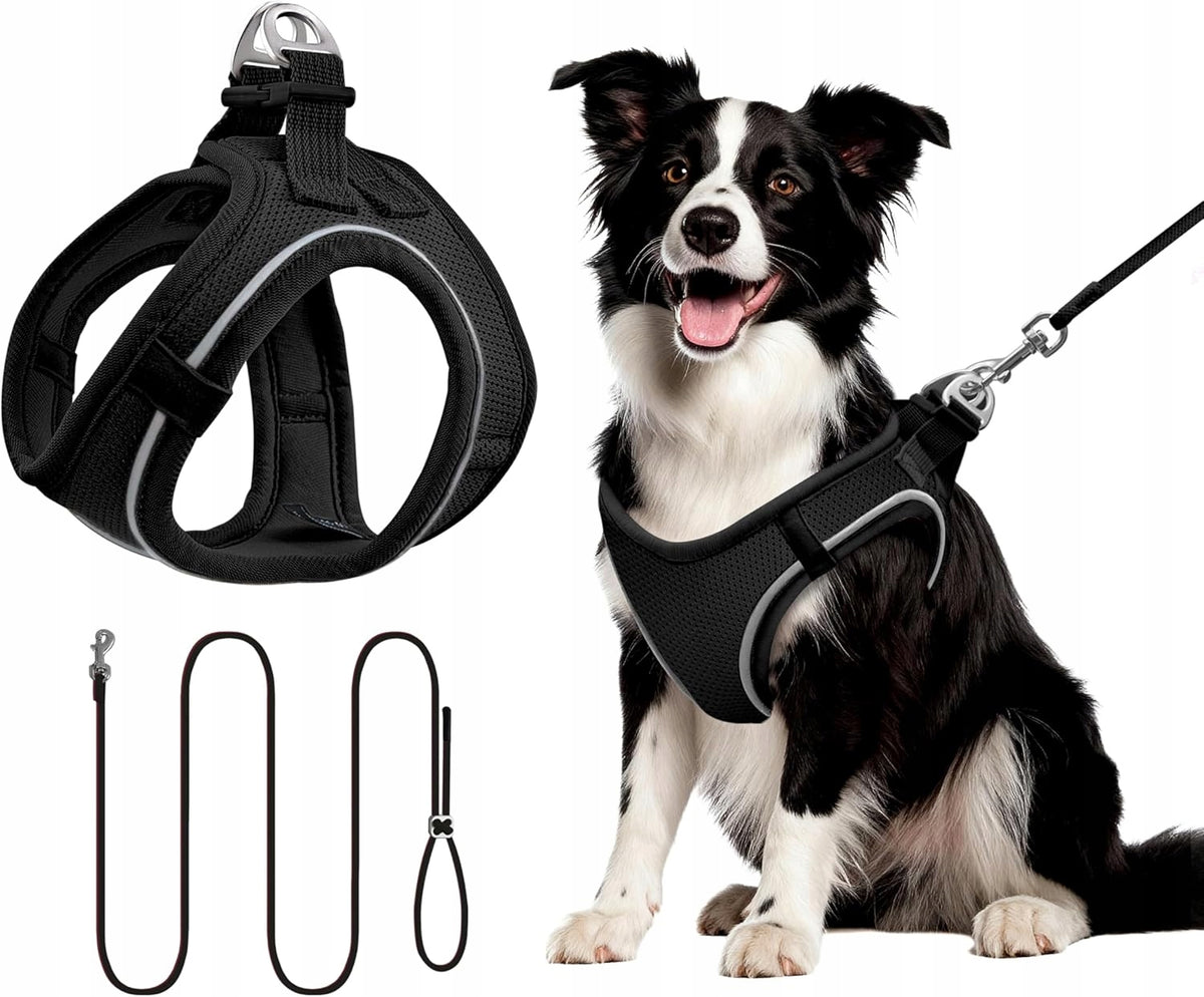 Harness + leash for Cat Dog L Breathable Reflective Black