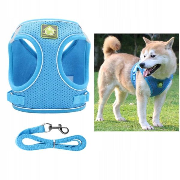Harness + leash for Dog r. L blue