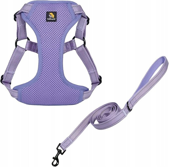 Harness leash for cat dog BELLA & PAL size L - Violet