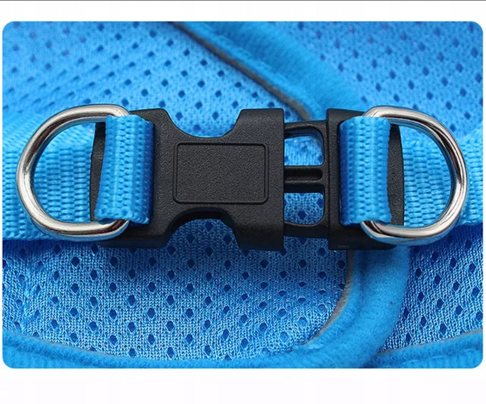 Harness leash for walking dog XS-XL 1,5-10 kg Kind walking harness
