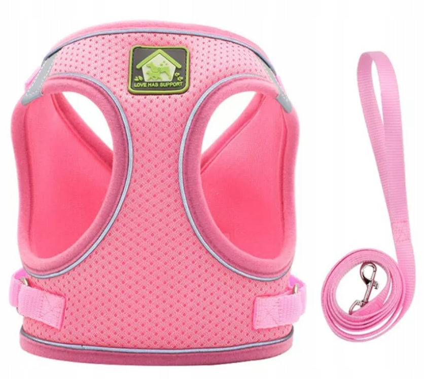 Harness leash for walking dog XS-XL 1,5-10 kg
