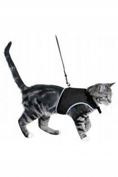 Harness material for cat Trixie r. 120 cm 24 cm grey