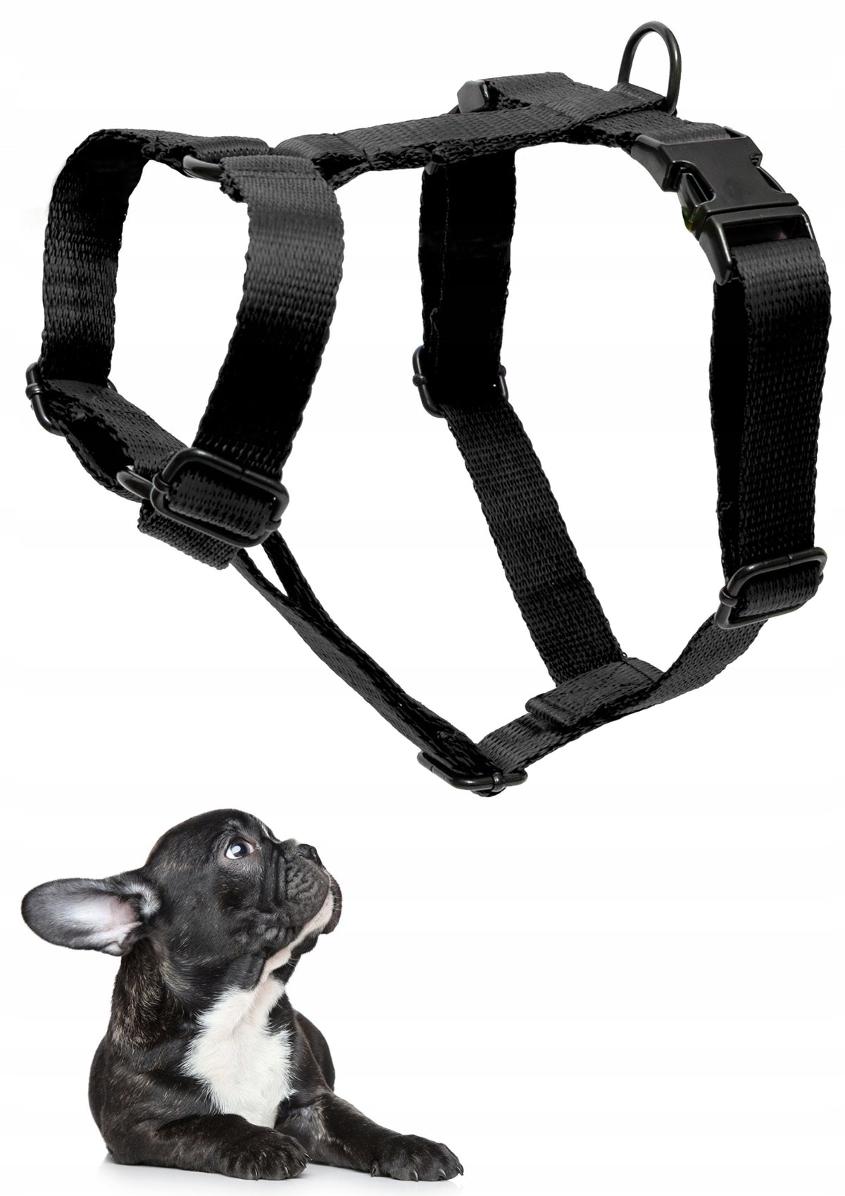 Harness type GUARD without compression strong adjustable metal fitting Roz M