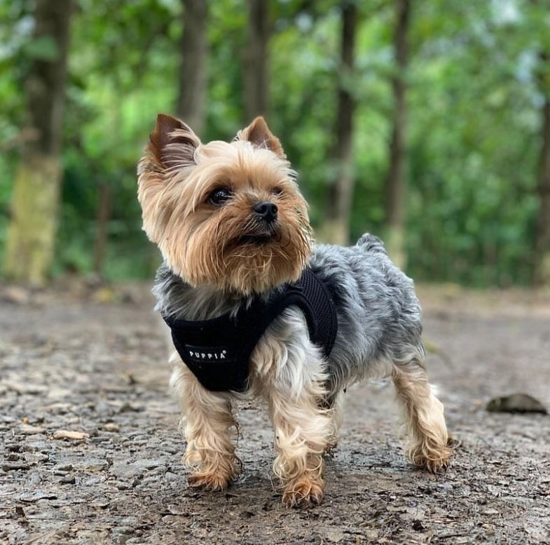 Harness/vest PUPPIA Soft Black - size: M Manufacturer code PP