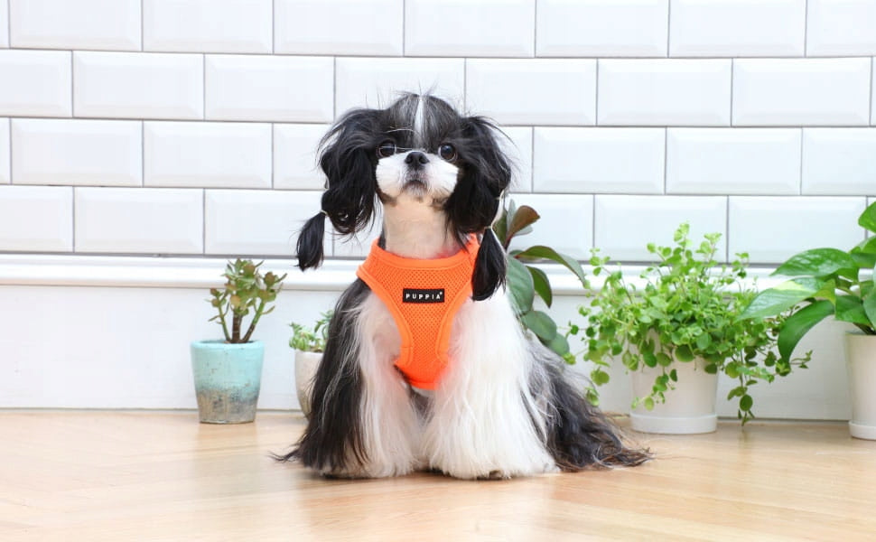 Harness/vest PUPPIA Soft neon orange - size: S Size S
