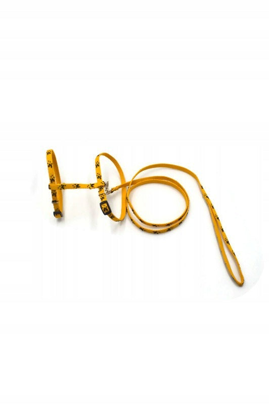 Harness with leash for cats Alizoo Paws A-191 Yellow