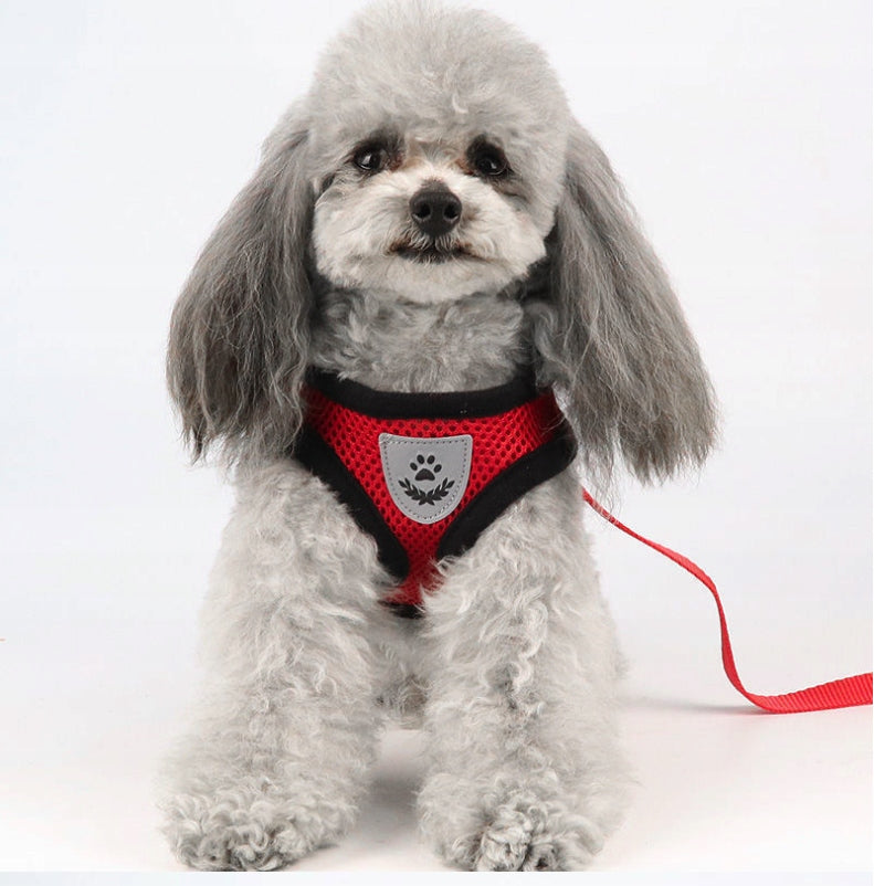Harness with leash for small dog cat red S reflective pressure-free Type adjustable