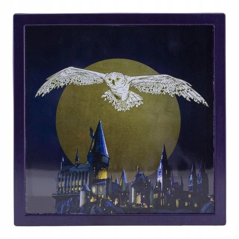 Harry Potter Hedwig