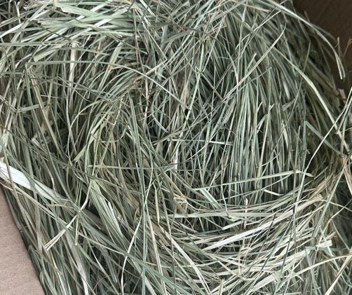 Hay Natural 1000g 1kg Natural Aromatic for Rodent Rabbit Brand no brand