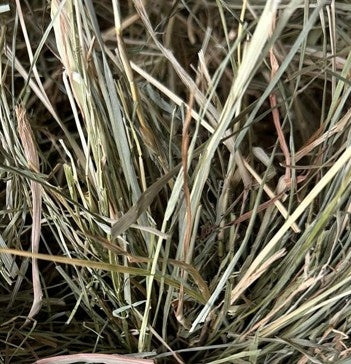 Hay feed 0,500 kg