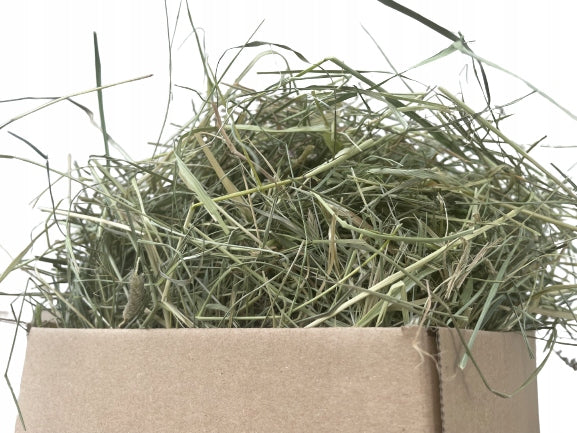 Hay feed 10 kg rabbit