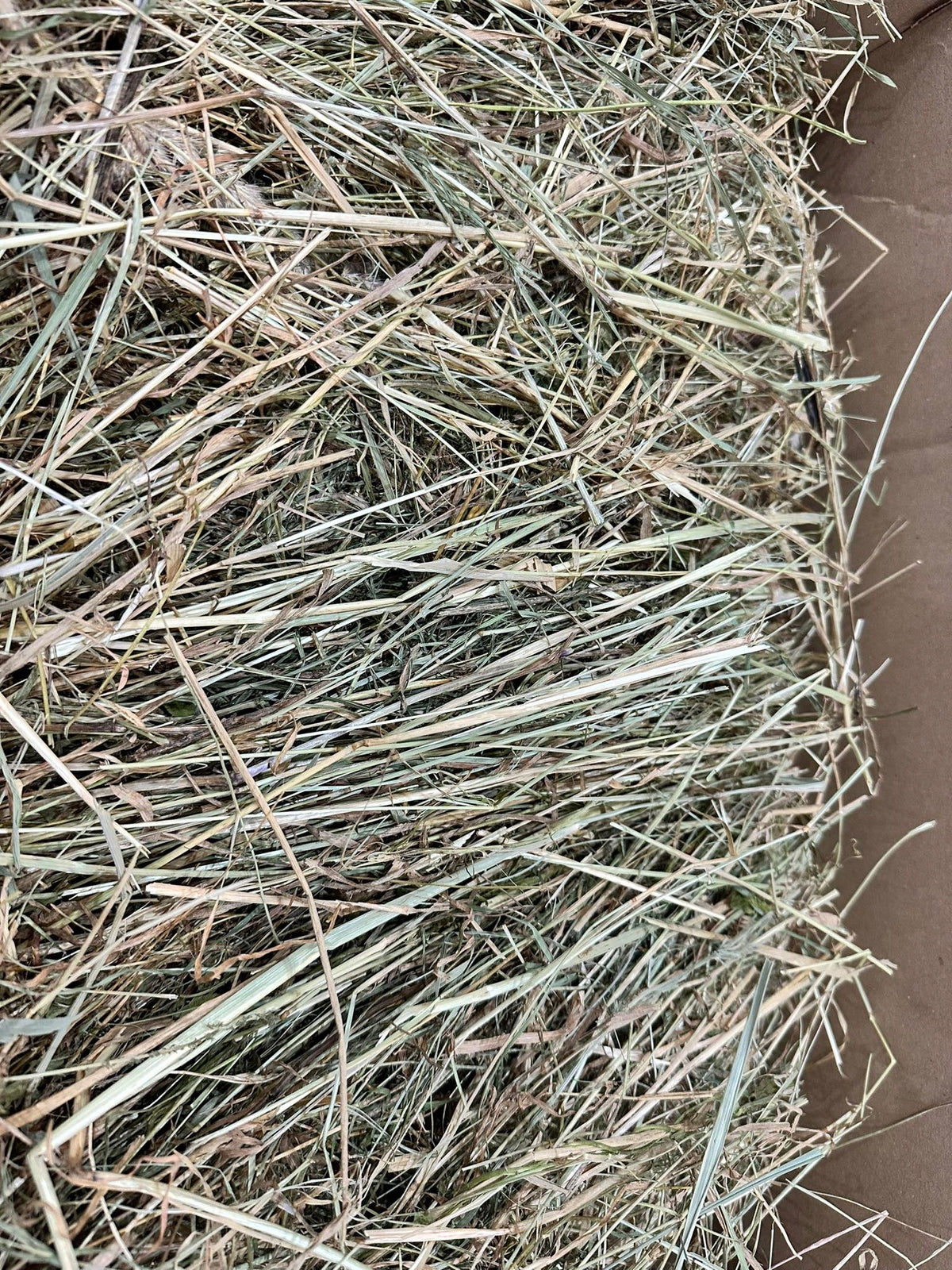 Hay feed 2kg for hamster rabbit mouse Brand no brand