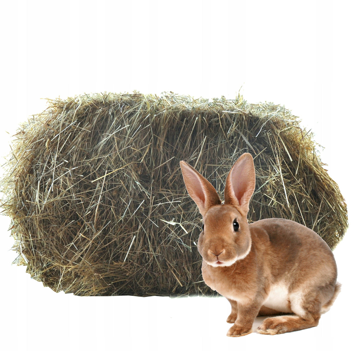 Hay for Rabbit, Hamster, Rodents CUBE 14KG