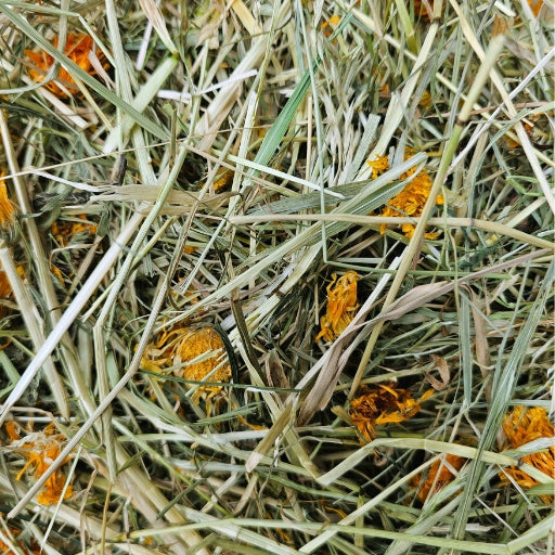 Hay for marigold rabbit 1kg - dusted - meadow - first swath Packaging status original
