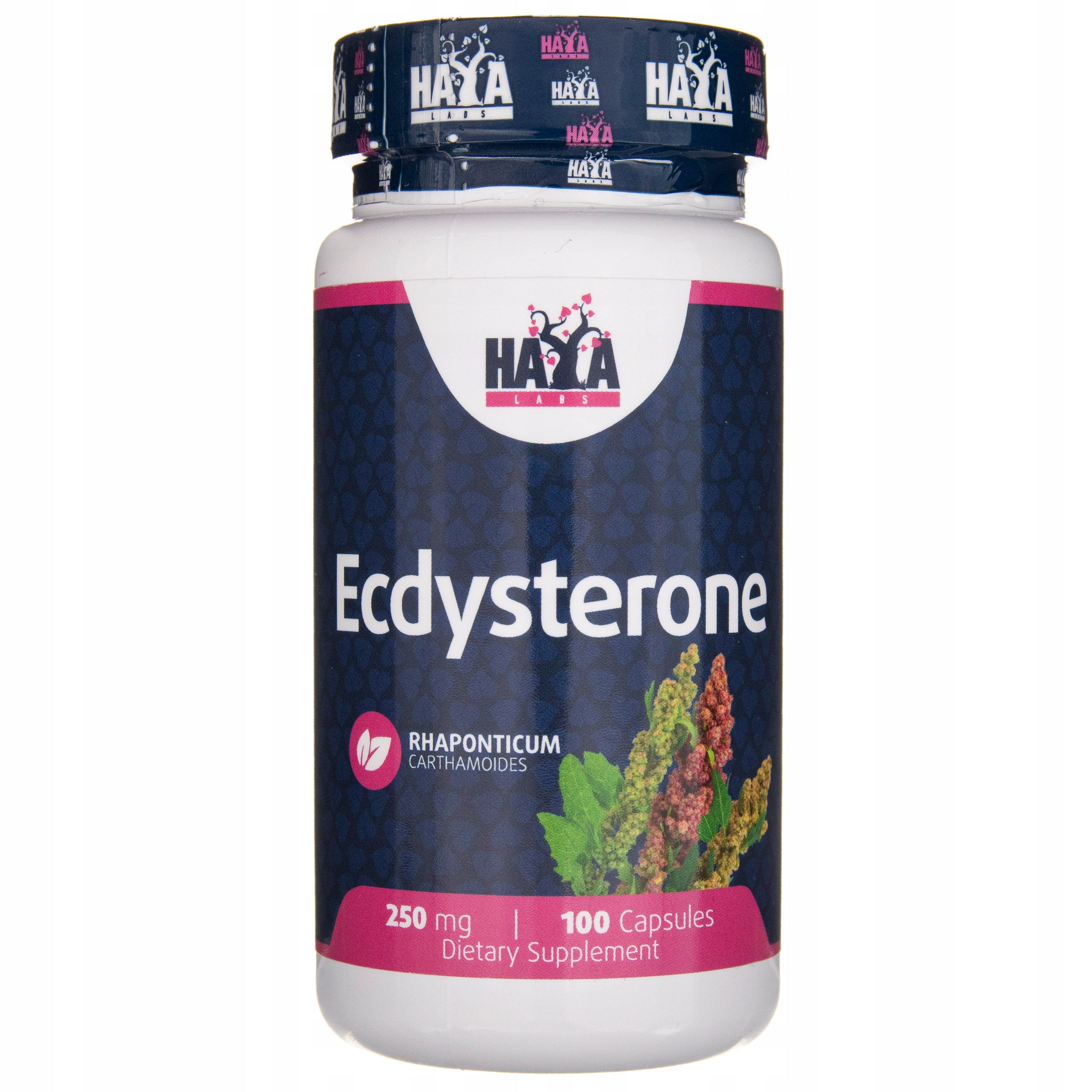 Haya Labs Ecdysterone 250 mg Strength Energy Regeneration 100 kaps