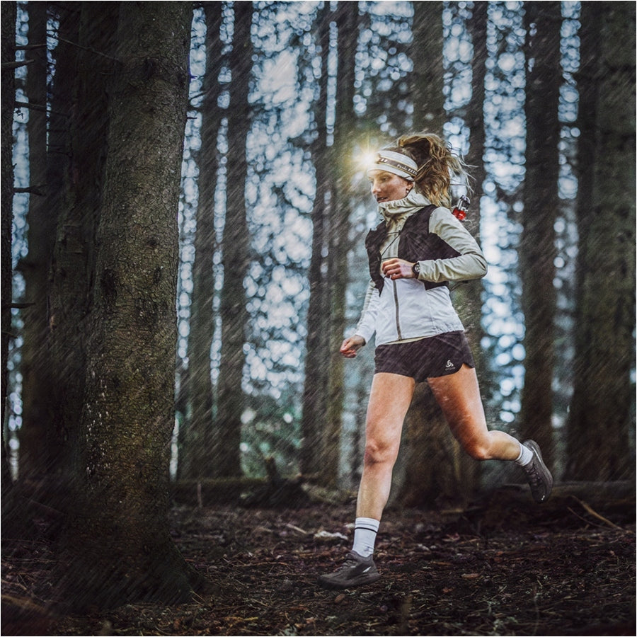 Headlamp Fenix HM23 V2.0 300 lumens AA 88 meters + Battery + Set Certificates of conformity CE