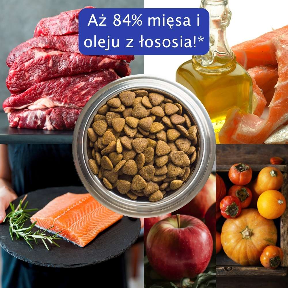 Healthy Dry Food PETFORMED venison 3 kg For Small Dogs Hypoallergenic Brand PETFORMED