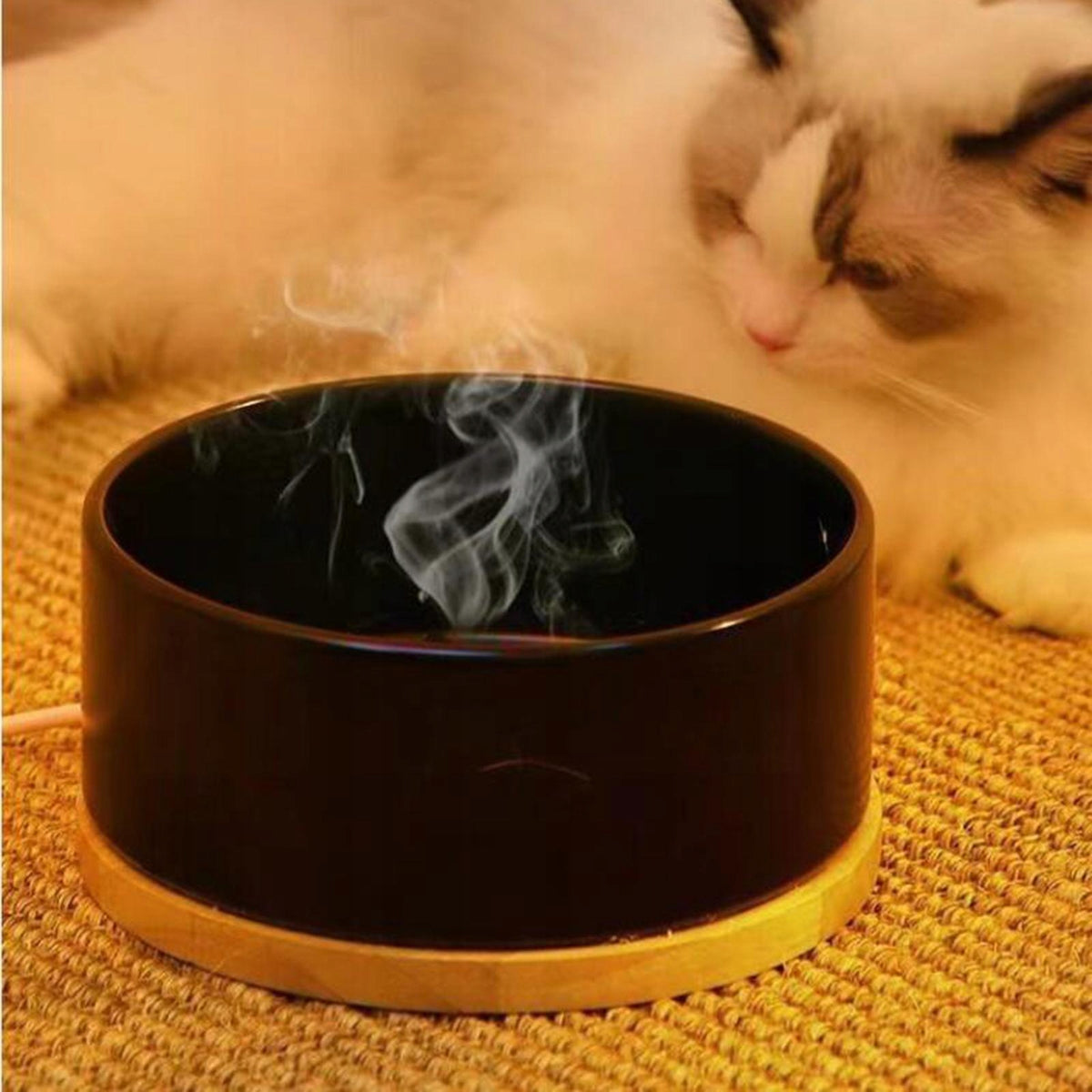 Heated Water Bowl for Outdoor Cats Dogs Winter Outside Round Constant black