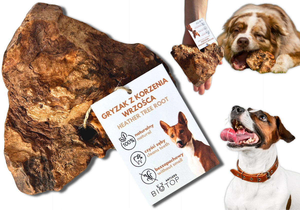 Heather root M - natural heather tree teether FOR DOGS [150-300g]