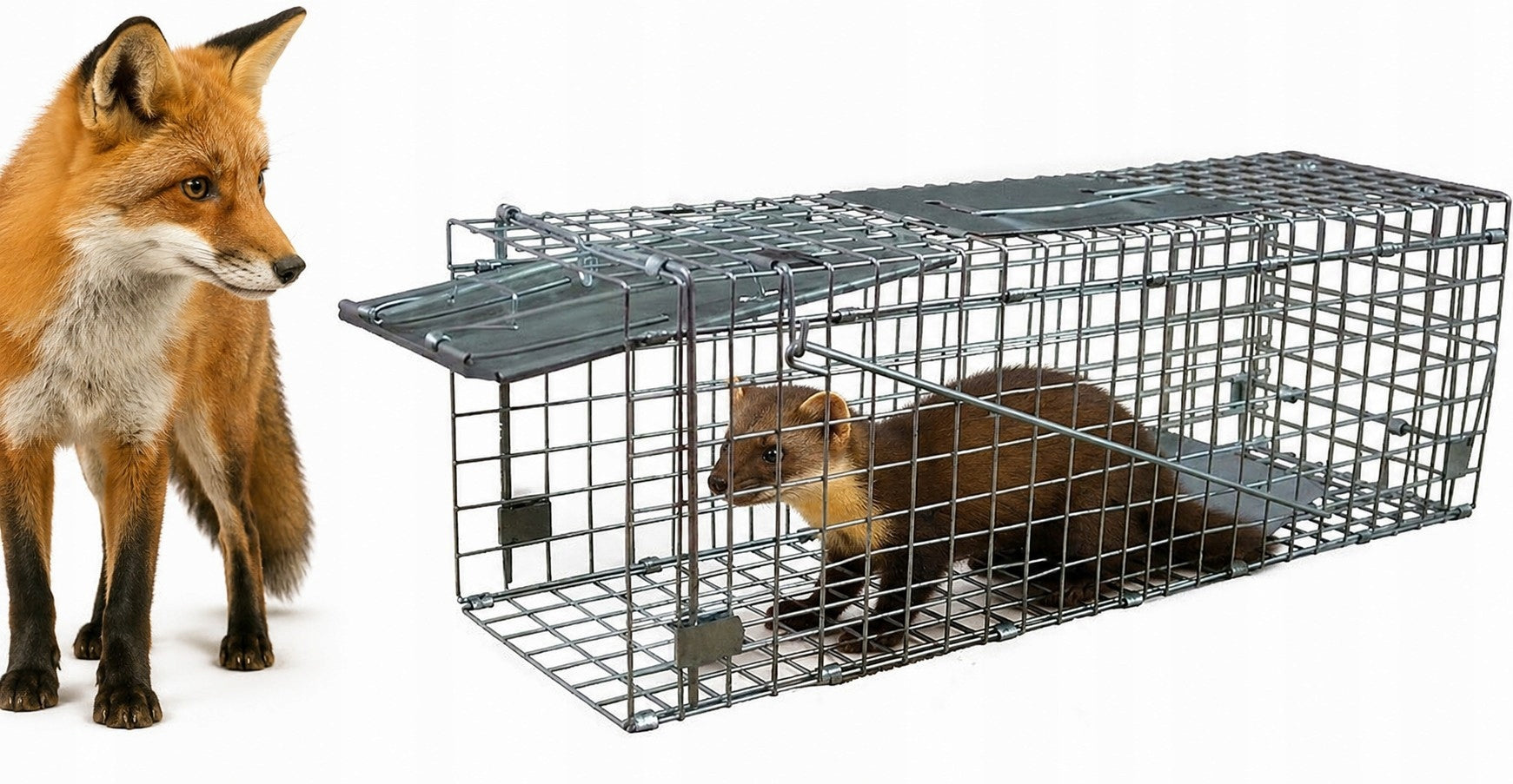 Hedgehog Trap for Foxes Kuna Weasels Cowards Mink Paw SOLID 80x28x28