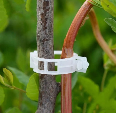 Herbgarden CLIPS FOR FIXING GARDEN PLANTS 50 PCS. WHITE Number of pieces 50 pcs