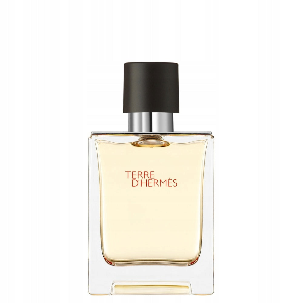 Hermes Terre D'Hermes Eau De Toilette Men's EDT for Him 50ml Packaging status original