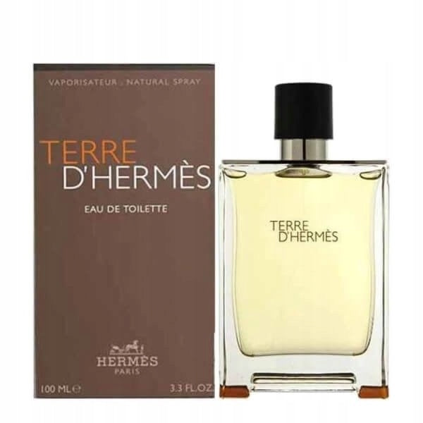Hermes Terre d´Hermes 100ml eau de toilette for men