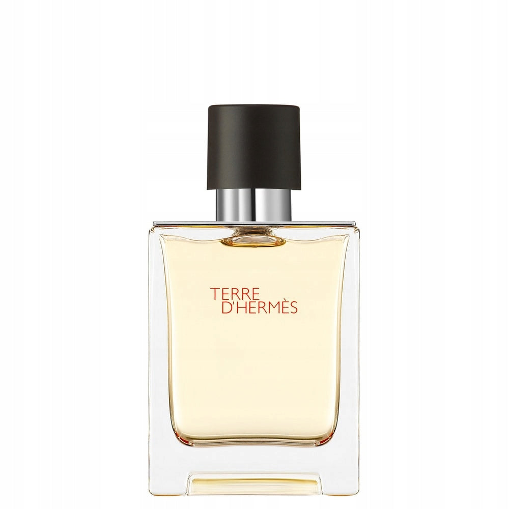 Hermès Terre d'Hermès eau de toilette EDT spray for men 50 ml