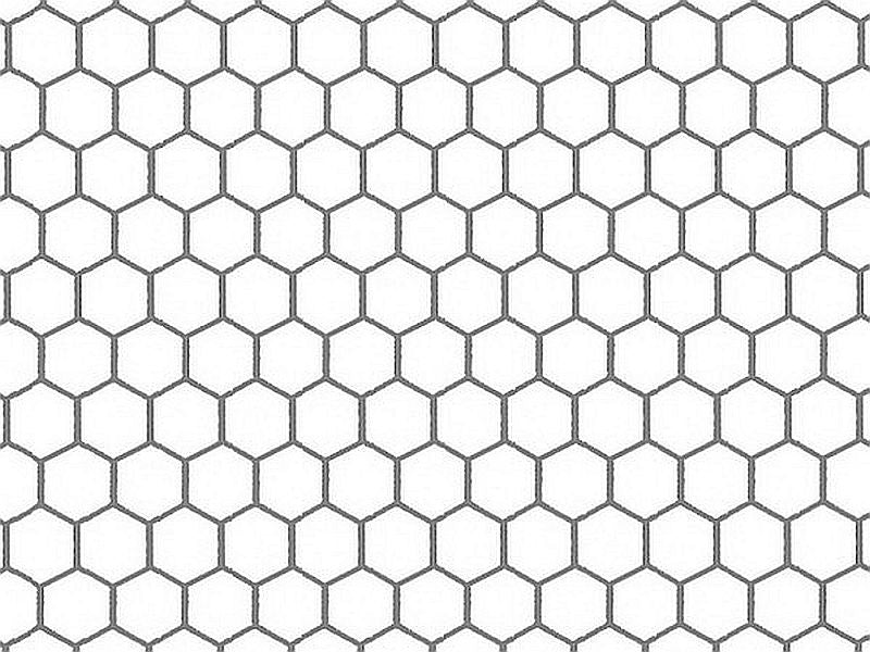 Hexagonal Aviary BREEDING MESH 50x50mm/0,50m roll 10m GALVANIZED 2 Packaging status original