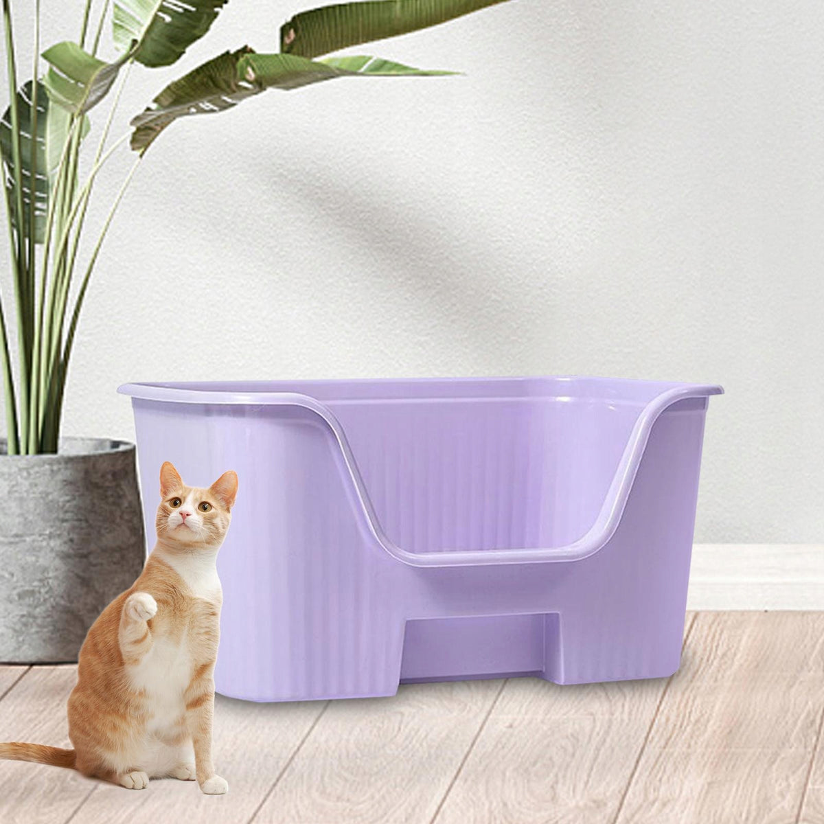 High Sided Cat Litter Boxs Easy to Clean Front Opening Violet No Wheel