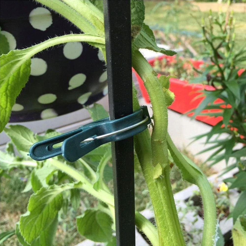 High-foaming plant attachment clips - 2 sizes - 20 pcs/pack Color green