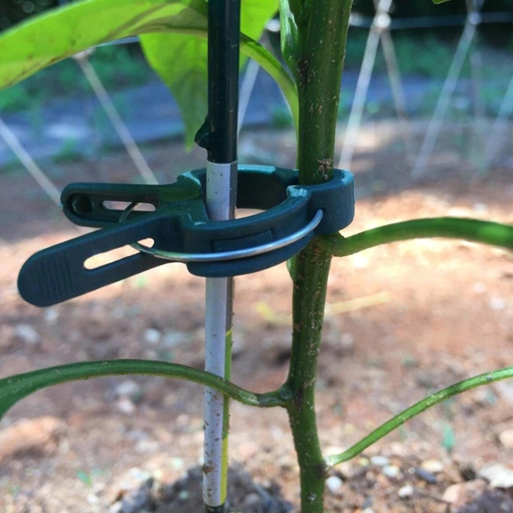High-foaming plant attachment clips - 2 sizes - 20 pcs/pack Product height 6.3 cm