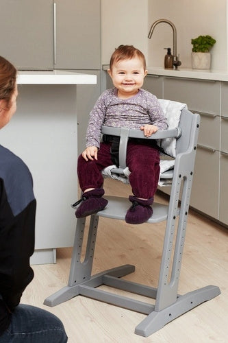 Highchair Baby Dan DANCHAIR grey Color shades of gray and silver