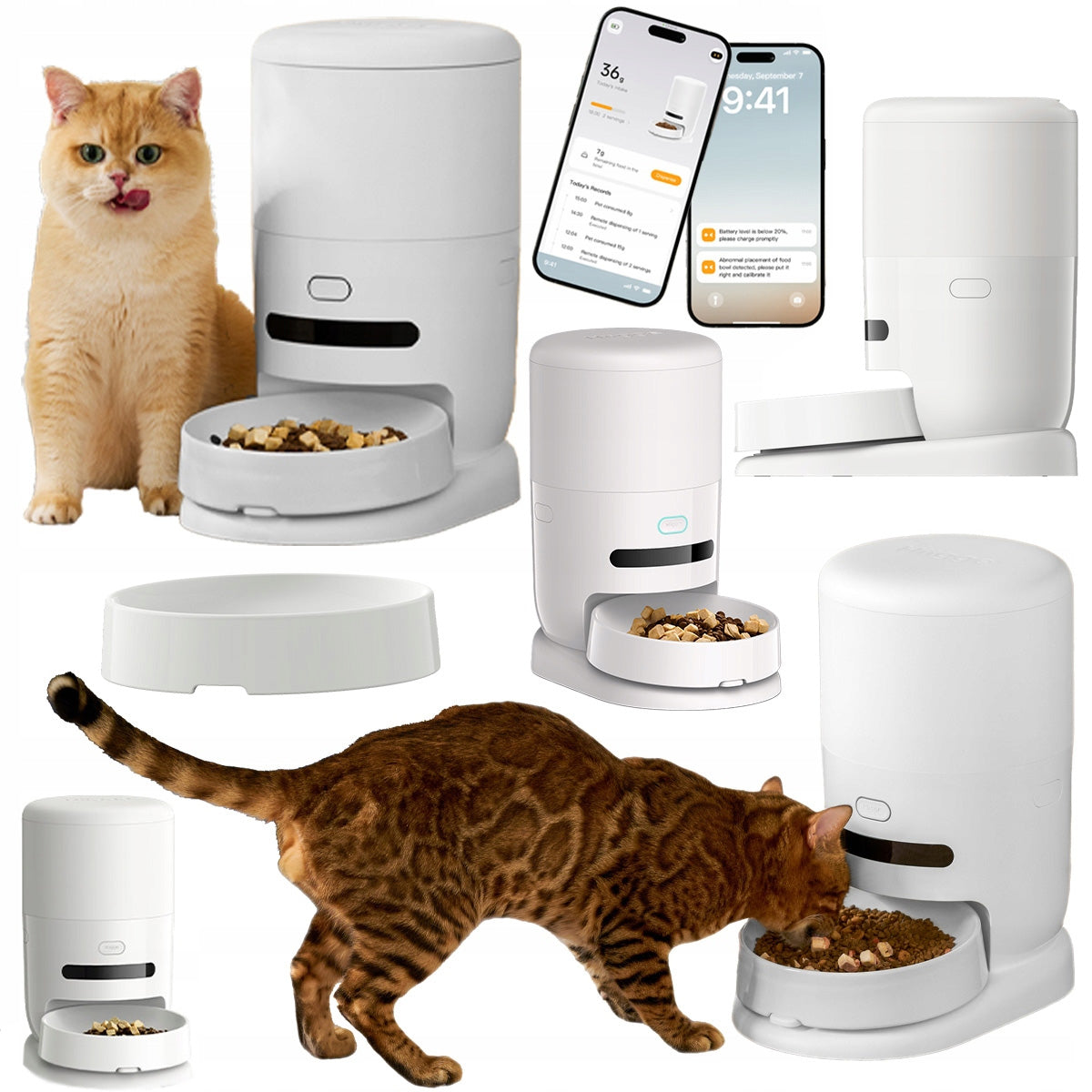 Hiigge AUTOMATIC cat food dispenser APPLICATION Wi-Fi feeder 4,3l