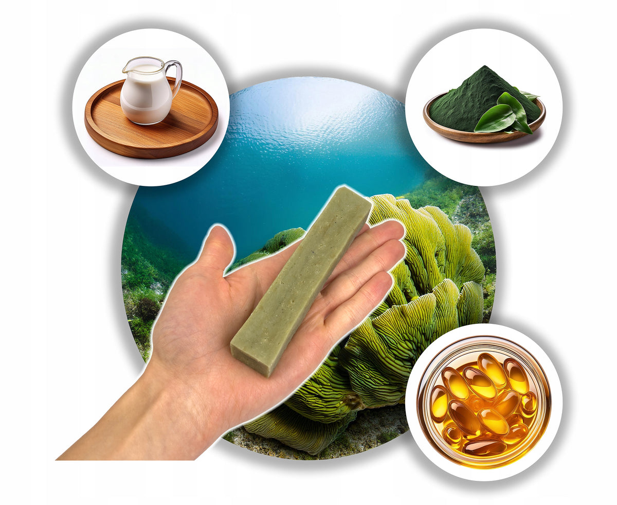 Himalayan Cheese SPIRULINA Natural Himalayan Cheese Dog Teether M Flavor cheese