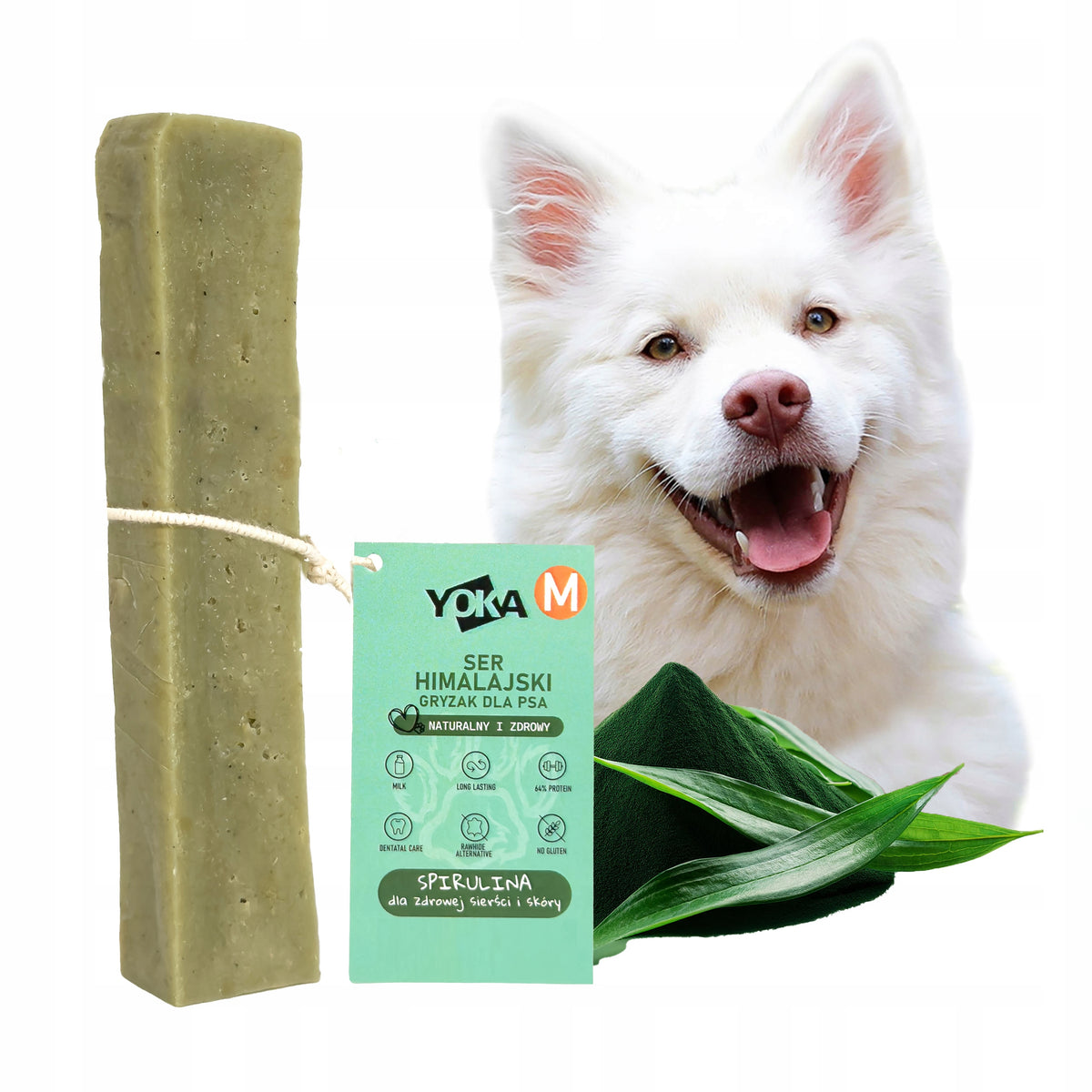 Himalayan Cheese SPIRULINA Natural Himalayan Cheese Dog Teether M