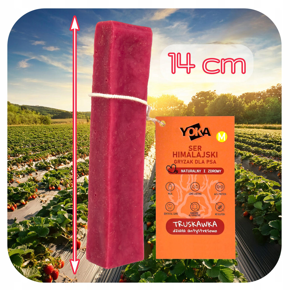 Himalayan Cheese STRAWBERRY Natural Himalayan Cheese Dog Teether M Packaging status original