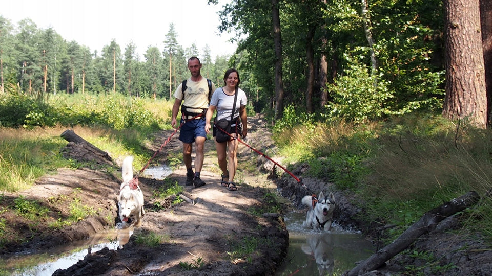 Hip Belt for Running and Running Dogtrekking Hifica Lite Trek PP Brand Hifica